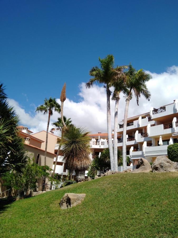 Forest Flat - Big Heated Pool, Terrace, Tv Channels, Golf Courses San Miguel de Abona Eksteriør billede