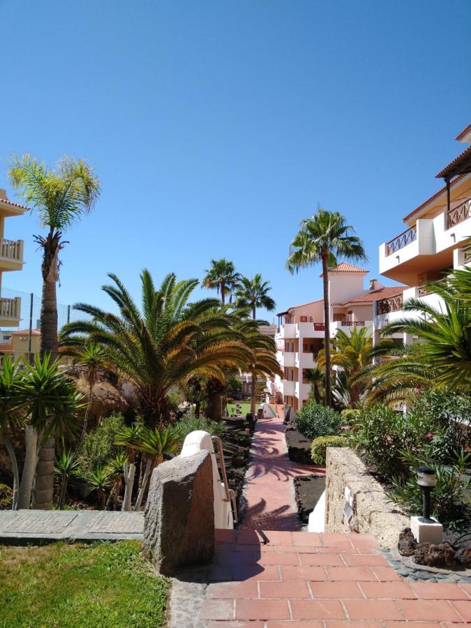 Forest Flat - Big Heated Pool, Terrace, Tv Channels, Golf Courses San Miguel de Abona Eksteriør billede
